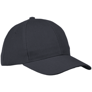 6 Panel Raven Cap